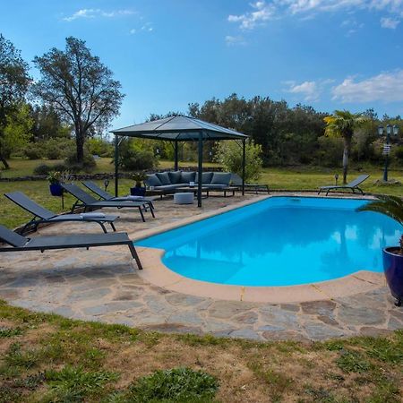 Villa Catalpa Avec Piscine Le Muy Exteriör bild